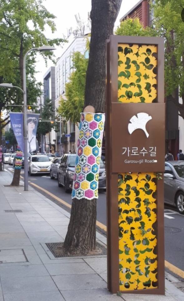 신사동 가로수길